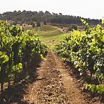 Ξενοδοχείο Baglio Caruana Cantina & Relais