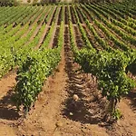 Ξενοδοχείο Baglio Caruana Cantina & Relais Montallegro