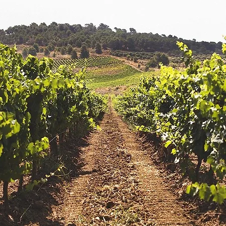 Hotel Baglio Caruana Cantina & Relais 3*